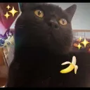debori3047 avatar
