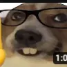lord_devbaumi77