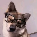 sillymutt