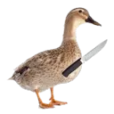 wubzer_