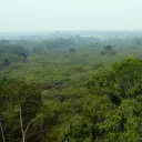 foliage10