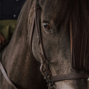 avatar ! 𝐄𝐱𝐢𝐓 ₇₂₀