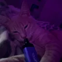 blazejoski21