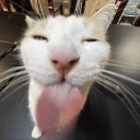 Profilbild von HL I Scheggy