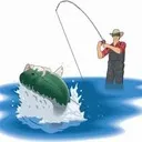 fishfv