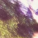 avatar 𝙰𝚖𝚗𝚎𝚜𝚝𝚒𝚌𝚘𝚛𝚎