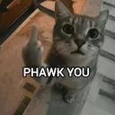 mrdaagoat