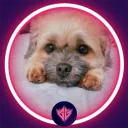 xneon6736 avatar