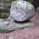 z_eyyo