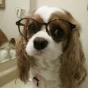 juliestrophic