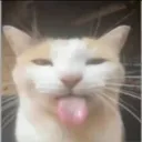 Аватар mr.richard1852