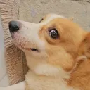 itsphilll