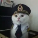 aw_albert
