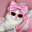 ᴀᴄᴇ