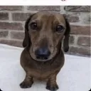kachow_manqk