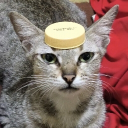 avatar Ethanol 10% biofuel khas bahlil