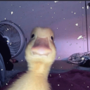 avatar Mad No Mercy †