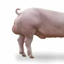 valevale123123