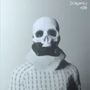 skelebits