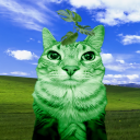 avatar thatd00medGuyᛉ☦