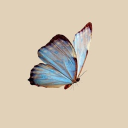 avatar الارزة 🌲🇱🇧