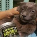 avatar 🎄 Jolly 🎄 NCalibre