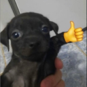 A2dd2cfbf4b4c2ca06e1f5afe6e11bed