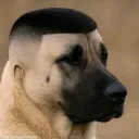 aidentalks