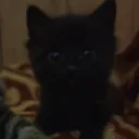 .iwxo
