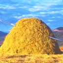 avatar 175HayStacks