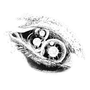 lalalyrical