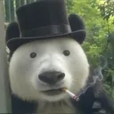 bloxokai