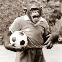 12monkey__