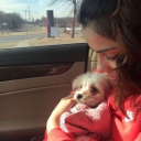 avatar ૮(≖⩊≖)ა