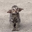 seeing_evil