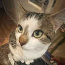 Discord Avatar