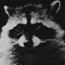 bastinichtghg