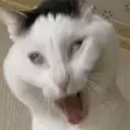j0hnn1h