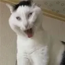 j0hnn1h