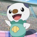 timothythewooper