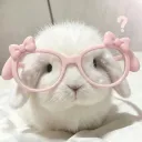 buncakery