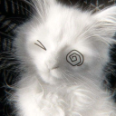 avatar zuqs ₍^. .^₎⟆