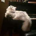 frank_3