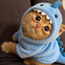 avatar Meister Rostfrei