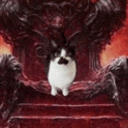 avatar Evil cat