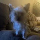 brandon080053