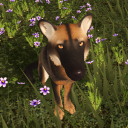 avatar ♡ 𝓡𝓮𝓷𝓮 ♡