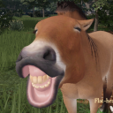 avatar ♡ 𝓡𝓮𝓷𝓮 ♡