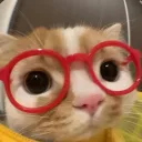 chanelldev