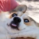 elgu